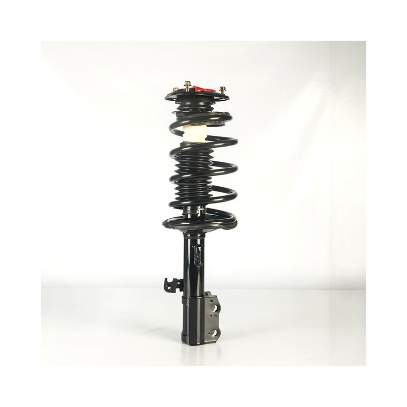 Shock Absorbers & Strut Assemblies