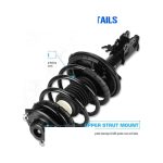 Coil Spring, Rear