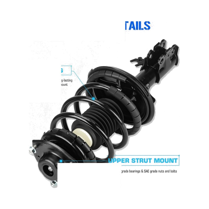 Coil Spring, Rear (48231-33721)